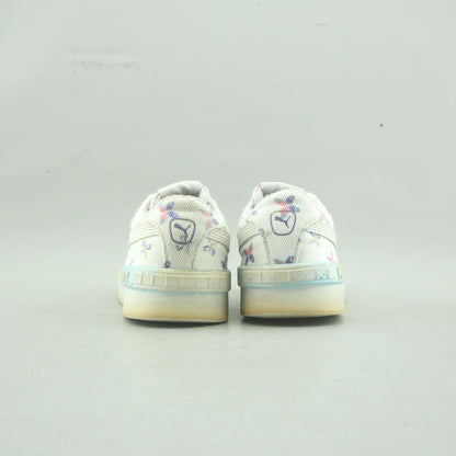 PUMA SUMMITS