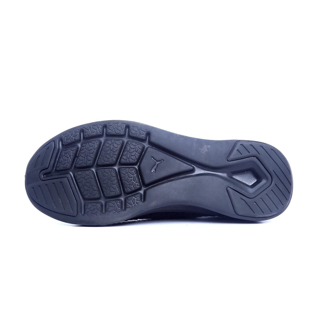 PUMA IGNITE FLASH EVOKNIT