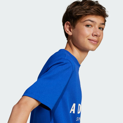 Kids' adidas ALL SZN Graphic Tee Kids