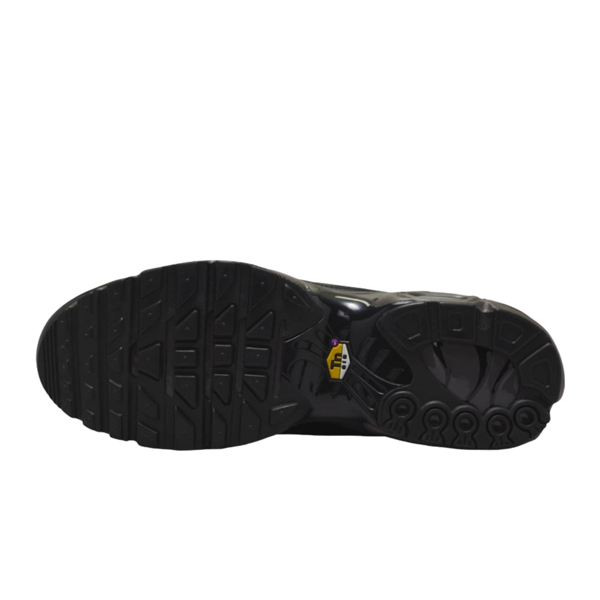 Nike Air Max Plus Premium Paris