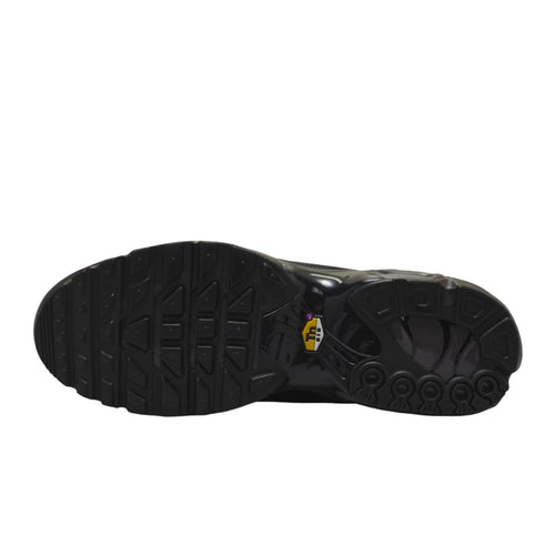 Nike Air Max Plus Premium Paris