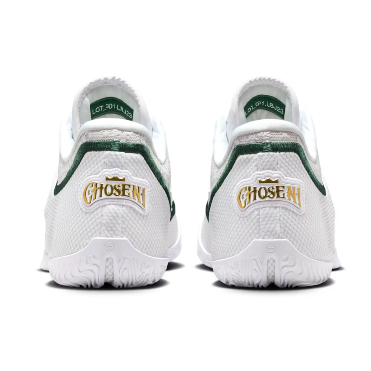 Nike LeBron 23 From This Point Forward