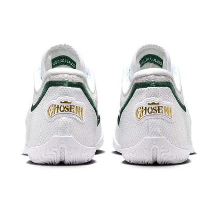 Nike LeBron 23 From This Point Forward